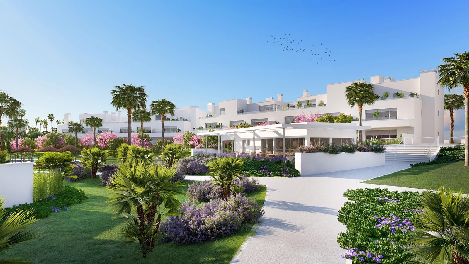 Acqua Gardens exterieur met witte gebouwen, palmbomen en bloeiende planten.